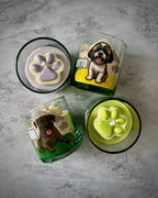 Vela para mascota personalizada